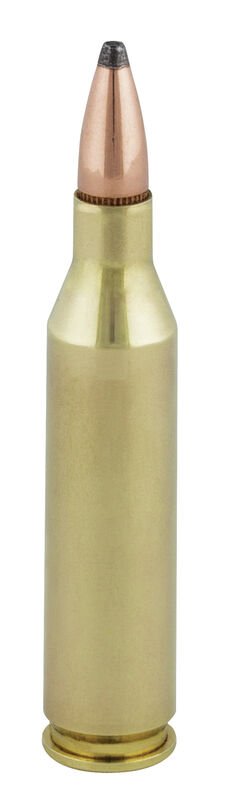 243B Cartridge C.jpg