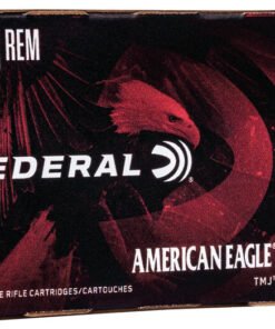 FP AE223T75 223RemTMJ Rm2.jpg