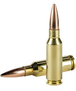 FP AE AE65GDL90VP cartridges.jpg