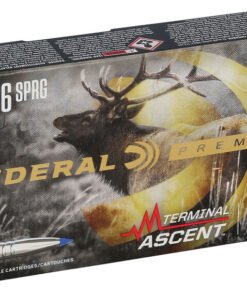 FP P3006TA1 3006SpringTerminalAscent R3.jpg