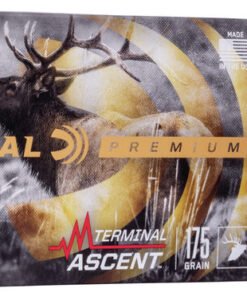 FP P308TA1 308WinTerminalAscent Combo R.jpg