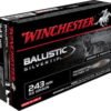 Opplanet winchester ballistic silvertip 243 winchester 55 grain fragmenting polymer tip centerfire rifle ammo 20 rounds sbst243 main.jpg